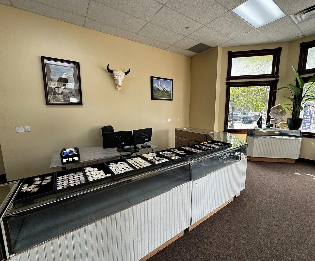 Shop interior with display cases